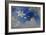 Blue Rhyme 2-Ailian Price-Framed Art Print