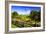 Blue Ridge Backyard-Alan Hausenflock-Framed Photographic Print