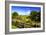 Blue Ridge Backyard-Alan Hausenflock-Framed Photographic Print