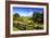 Blue Ridge Backyard-Alan Hausenflock-Framed Photographic Print