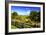 Blue Ridge Backyard-Alan Hausenflock-Framed Photographic Print