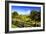 Blue Ridge Backyard-Alan Hausenflock-Framed Photographic Print