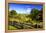Blue Ridge Backyard-Alan Hausenflock-Framed Premier Image Canvas