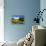 Blue Ridge Backyard-Alan Hausenflock-Framed Premier Image Canvas displayed on a wall