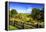 Blue Ridge Backyard-Alan Hausenflock-Framed Premier Image Canvas