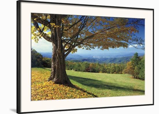 Blue Ridge Beauty-Mike Jones-Framed Art Print
