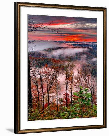 Blue Ridge Beauty-Steven Maxx-Framed Photographic Print