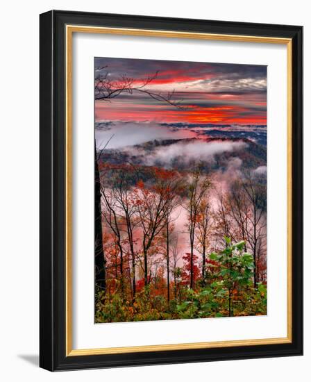 Blue Ridge Beauty-Steven Maxx-Framed Photographic Print