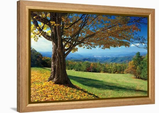 Blue Ridge Beauty-Mike Jones-Framed Premier Image Canvas