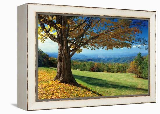 Blue Ridge Beauty-Mike Jones-Framed Premier Image Canvas