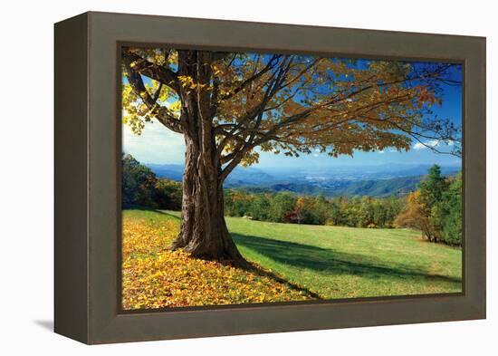 Blue Ridge Beauty-Mike Jones-Framed Premier Image Canvas