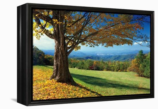 Blue Ridge Beauty-Mike Jones-Framed Premier Image Canvas