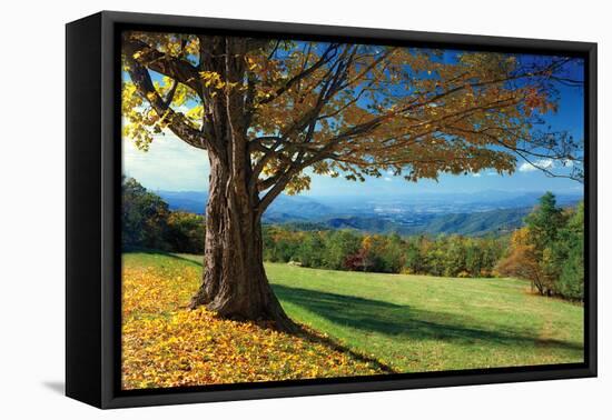 Blue Ridge Beauty-Mike Jones-Framed Premier Image Canvas