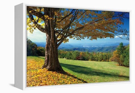 Blue Ridge Beauty-Mike Jones-Framed Premier Image Canvas