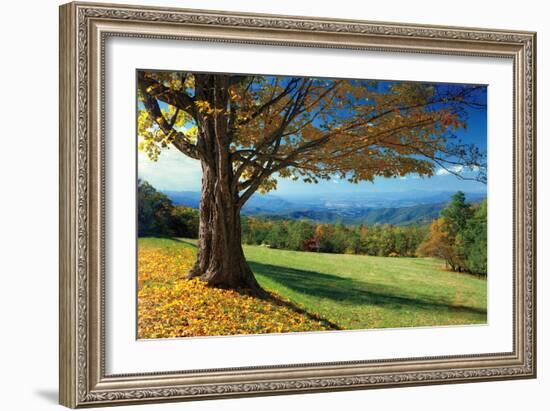 Blue Ridge Beauty-Mike Jones-Framed Photographic Print