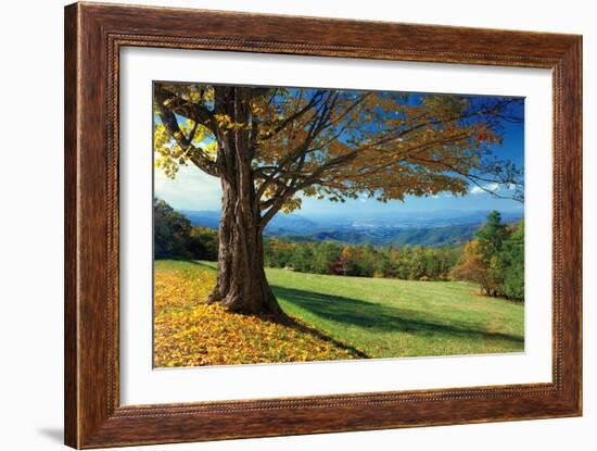 Blue Ridge Beauty-Mike Jones-Framed Photographic Print