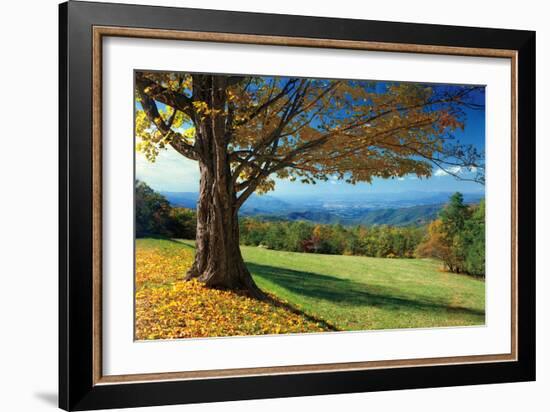 Blue Ridge Beauty-Mike Jones-Framed Photographic Print