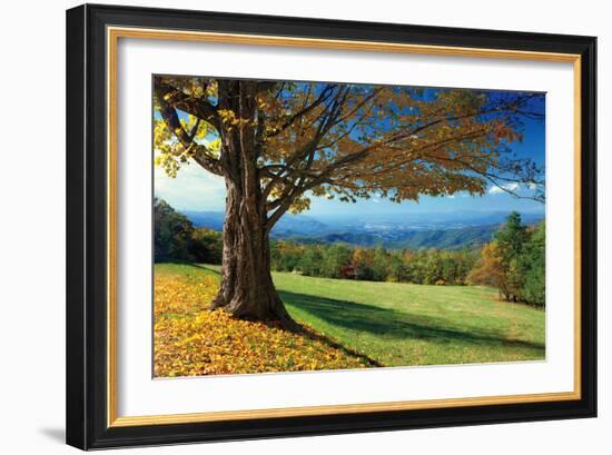 Blue Ridge Beauty-Mike Jones-Framed Photographic Print