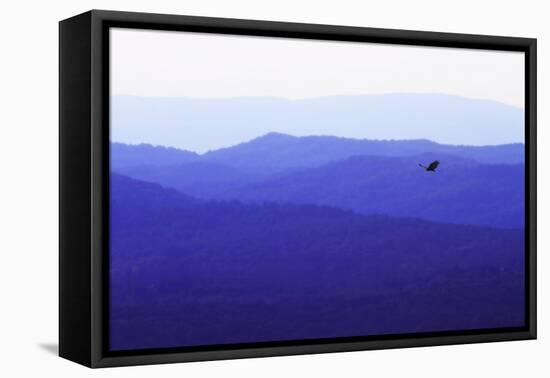 Blue Ridge I-Alan Hausenflock-Framed Premier Image Canvas