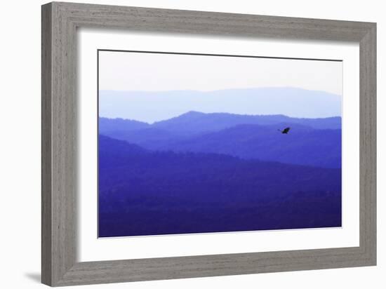 Blue Ridge I-Alan Hausenflock-Framed Photographic Print