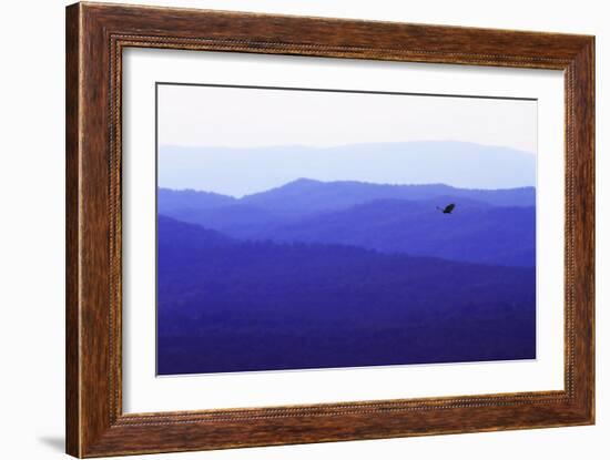 Blue Ridge I-Alan Hausenflock-Framed Photographic Print