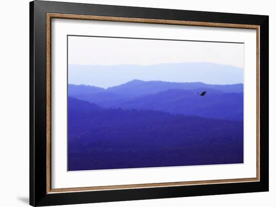 Blue Ridge I-Alan Hausenflock-Framed Photographic Print