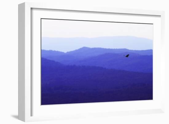 Blue Ridge I-Alan Hausenflock-Framed Photographic Print