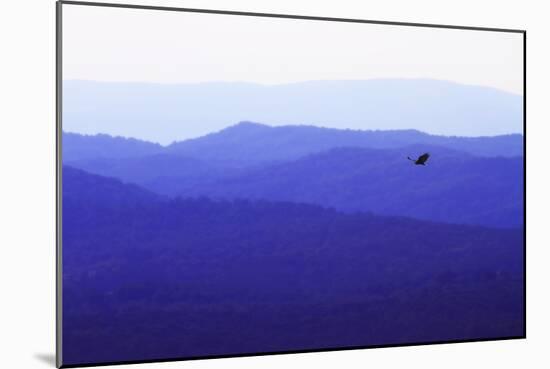 Blue Ridge I-Alan Hausenflock-Mounted Photographic Print
