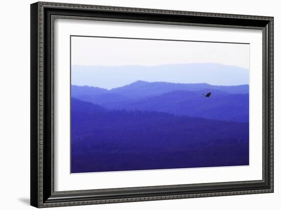 Blue Ridge I-Alan Hausenflock-Framed Photographic Print