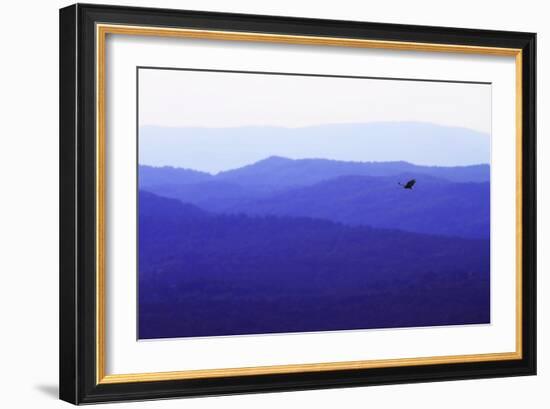 Blue Ridge I-Alan Hausenflock-Framed Photographic Print