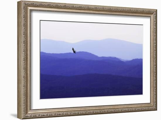 Blue Ridge II-Alan Hausenflock-Framed Photographic Print