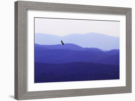 Blue Ridge II-Alan Hausenflock-Framed Photographic Print