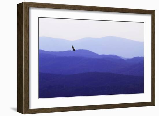 Blue Ridge II-Alan Hausenflock-Framed Photographic Print