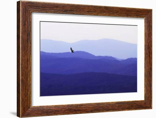 Blue Ridge II-Alan Hausenflock-Framed Photographic Print