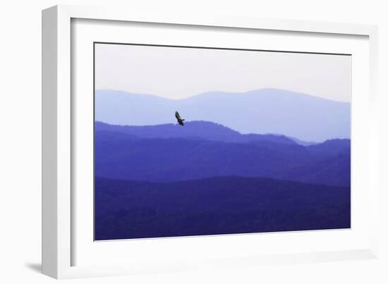 Blue Ridge II-Alan Hausenflock-Framed Photographic Print