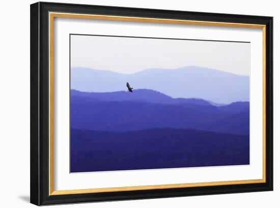 Blue Ridge II-Alan Hausenflock-Framed Photographic Print