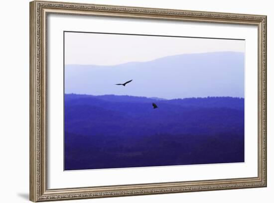 Blue Ridge III-Alan Hausenflock-Framed Photographic Print