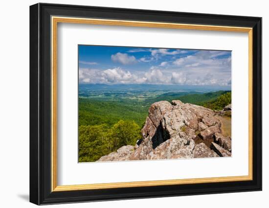 Blue Ridge Morning-Jon Bilous-Framed Photographic Print