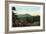 Blue Ridge Mountains, North Carolina - Mount Mitchelll Scene-Lantern Press-Framed Art Print