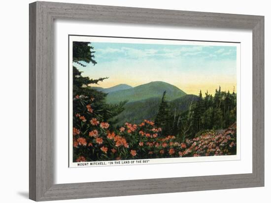 Blue Ridge Mountains, North Carolina - Mount Mitchelll Scene-Lantern Press-Framed Art Print