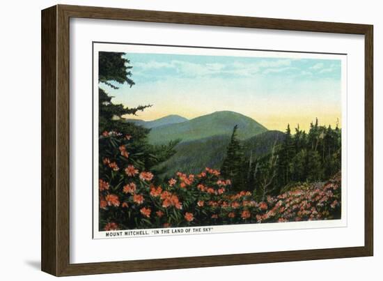Blue Ridge Mountains, North Carolina - Mount Mitchelll Scene-Lantern Press-Framed Art Print