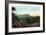 Blue Ridge Mountains, North Carolina - Mount Mitchelll Scene-Lantern Press-Framed Art Print