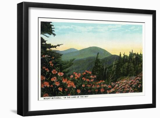 Blue Ridge Mountains, North Carolina - Mount Mitchelll Scene-Lantern Press-Framed Art Print