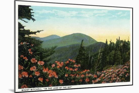 Blue Ridge Mountains, North Carolina - Mount Mitchelll Scene-Lantern Press-Mounted Art Print