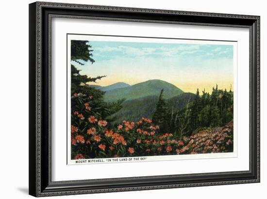 Blue Ridge Mountains, North Carolina - Mount Mitchelll Scene-Lantern Press-Framed Art Print