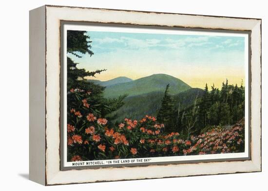 Blue Ridge Mountains, North Carolina - Mount Mitchelll Scene-Lantern Press-Framed Stretched Canvas