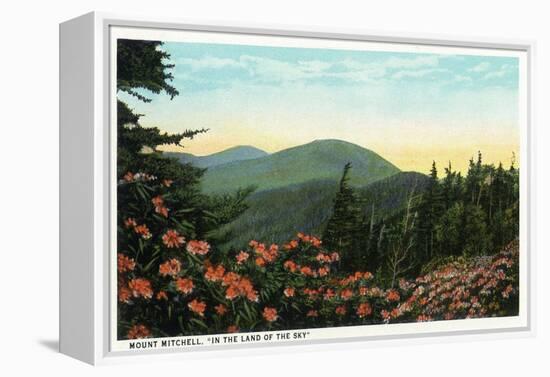 Blue Ridge Mountains, North Carolina - Mount Mitchelll Scene-Lantern Press-Framed Stretched Canvas