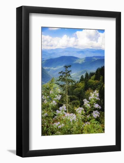 Blue Ridge Parkway vista, Smoky Mountains, USA.-Anna Miller-Framed Photographic Print