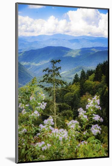 Blue Ridge Parkway vista, Smoky Mountains, USA.-Anna Miller-Mounted Photographic Print