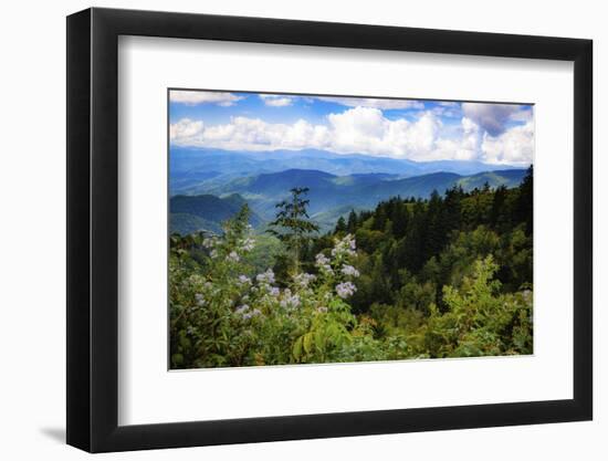 Blue Ridge Parkway vista, Smoky Mountains, USA.-Anna Miller-Framed Photographic Print